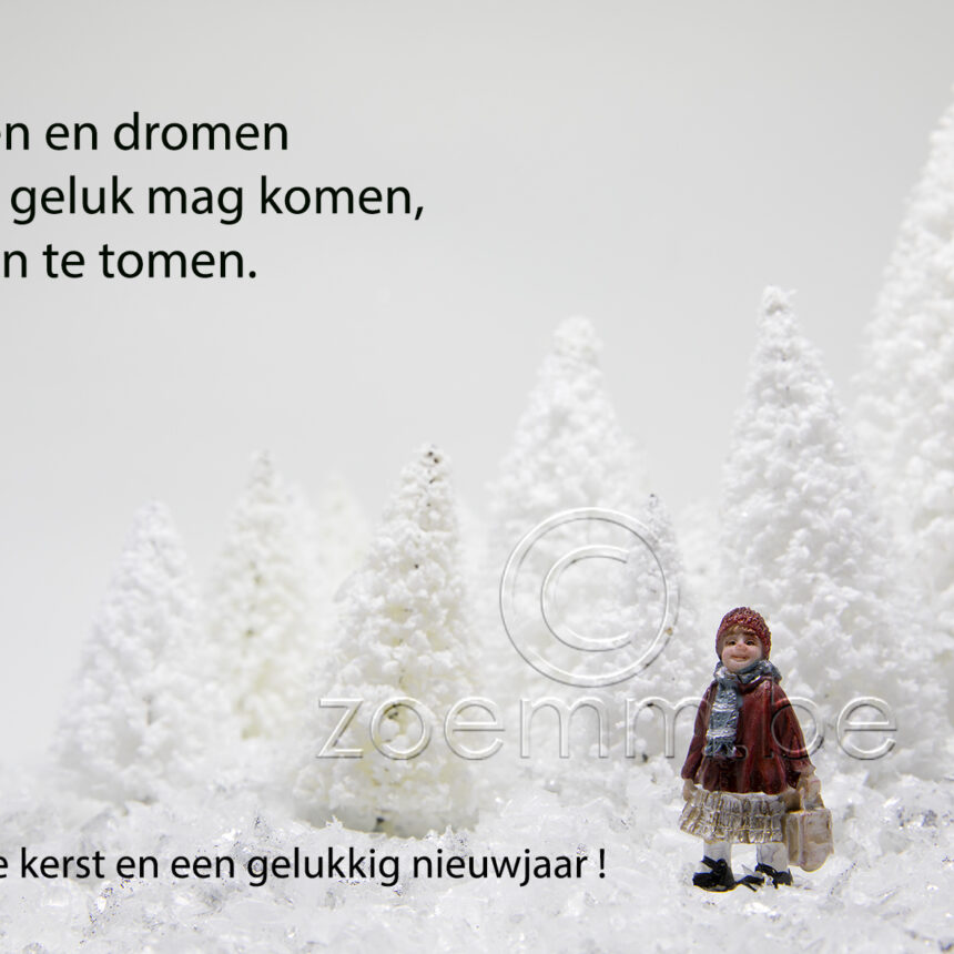 Haiku kerstwens bomen 3