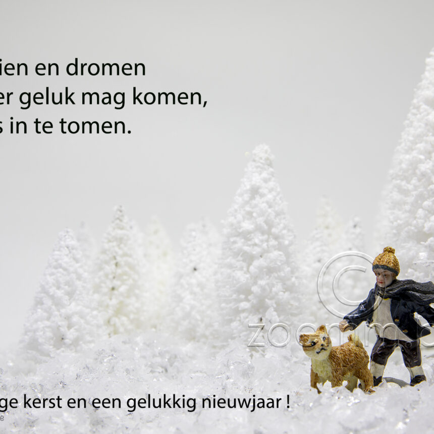 Haiku kerstwens bomen 4