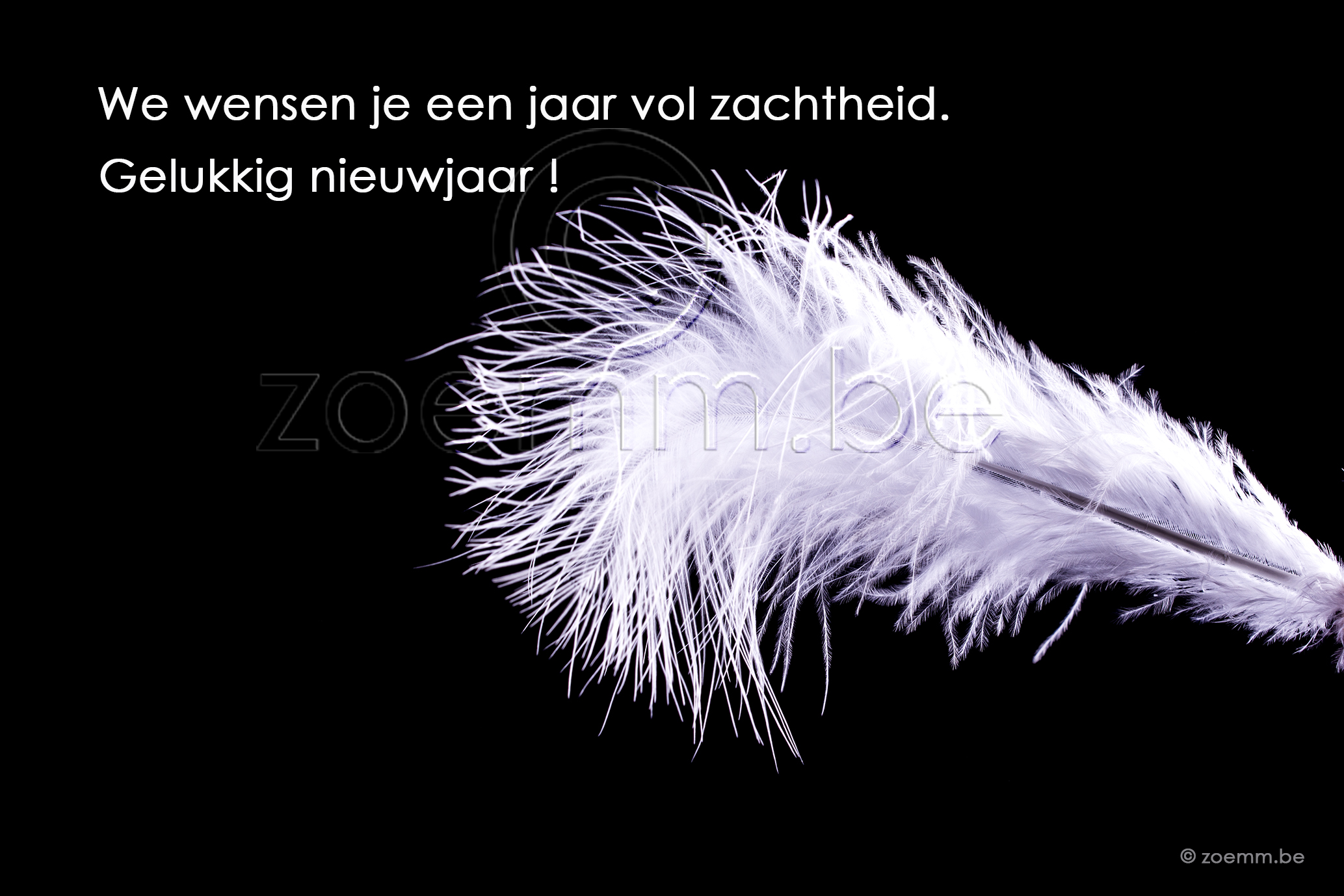 Zwart zacht