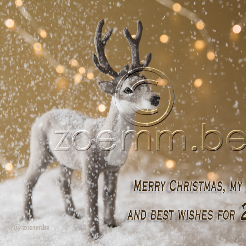 Goud deer 2