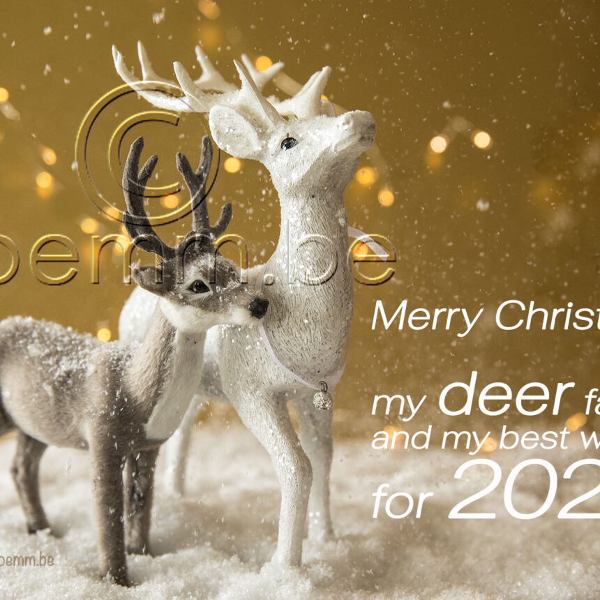 Goud deer 3
