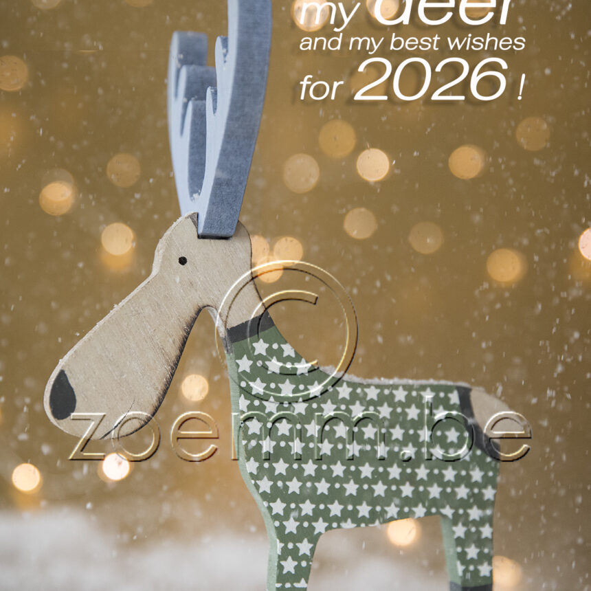Goud deer 4