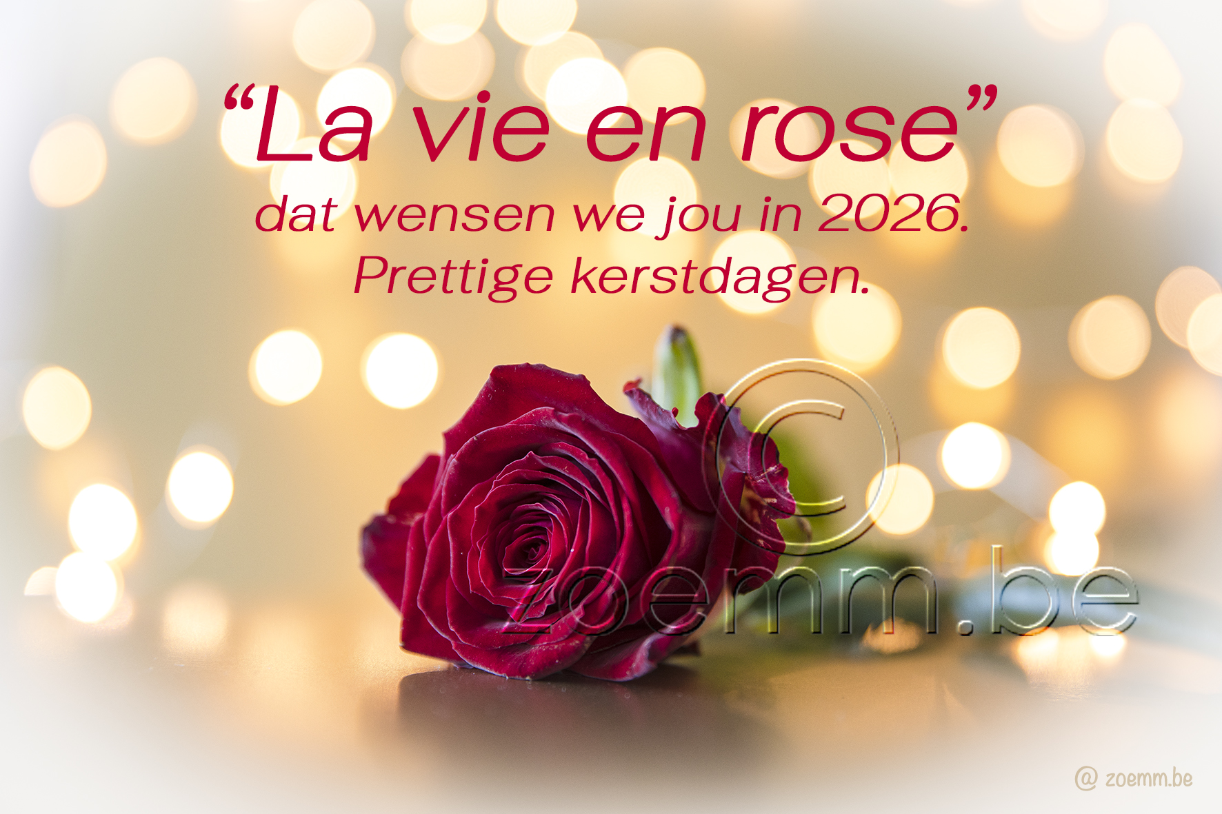 Goud roos 1