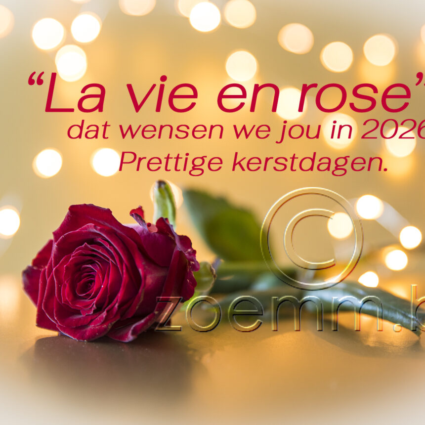 Goud roos 2