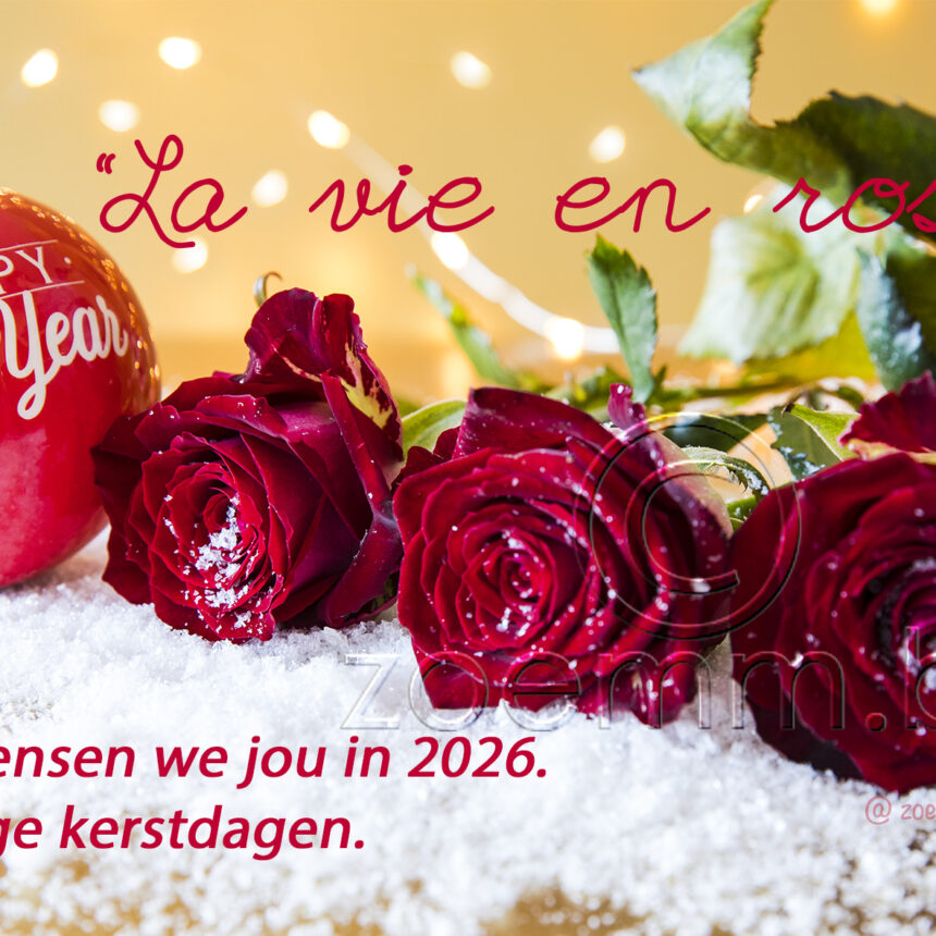 Goud roos 3