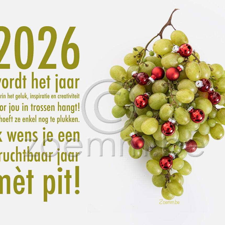 !NIEUW! G&F druif