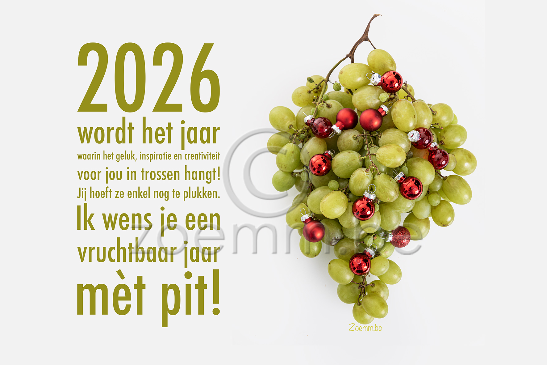 !NIEUW! G&F druif
