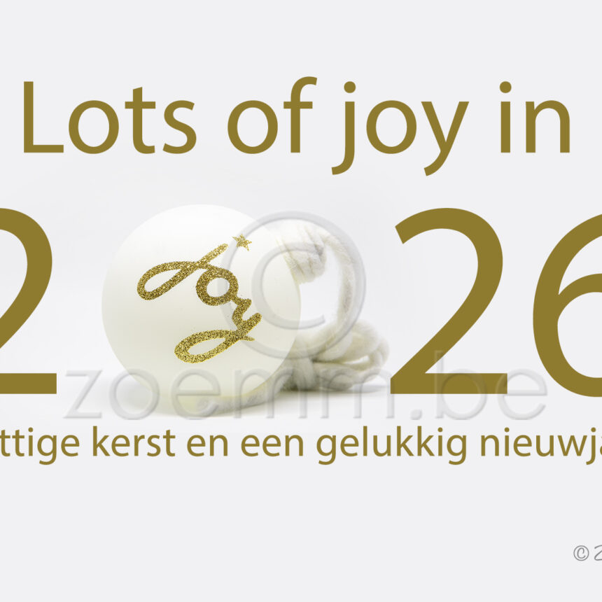 Wit joy
