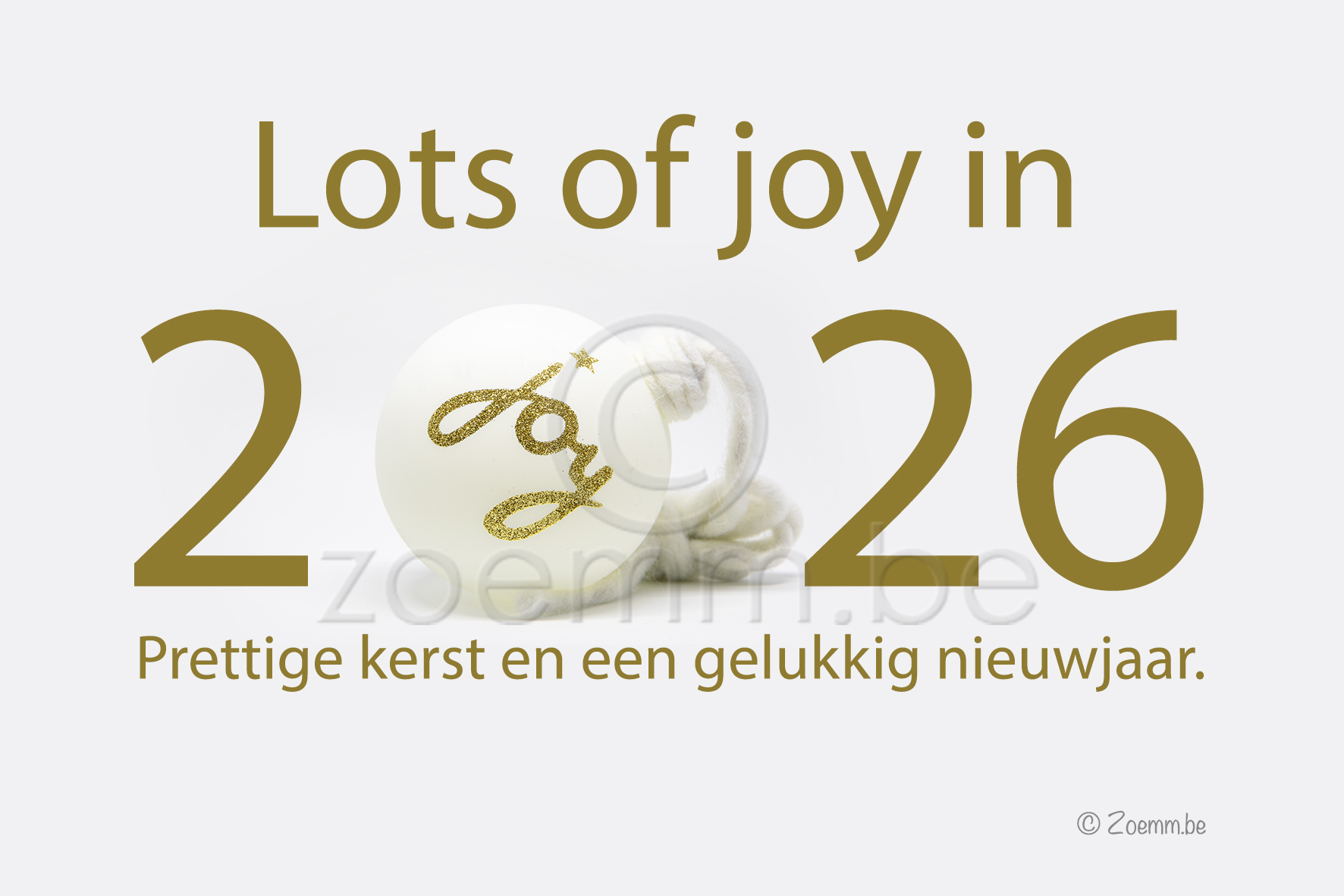 Wit joy