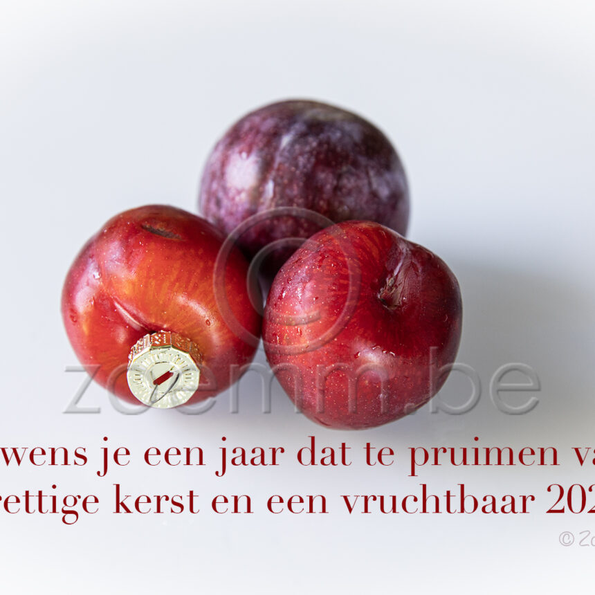 G&F pruimen 1