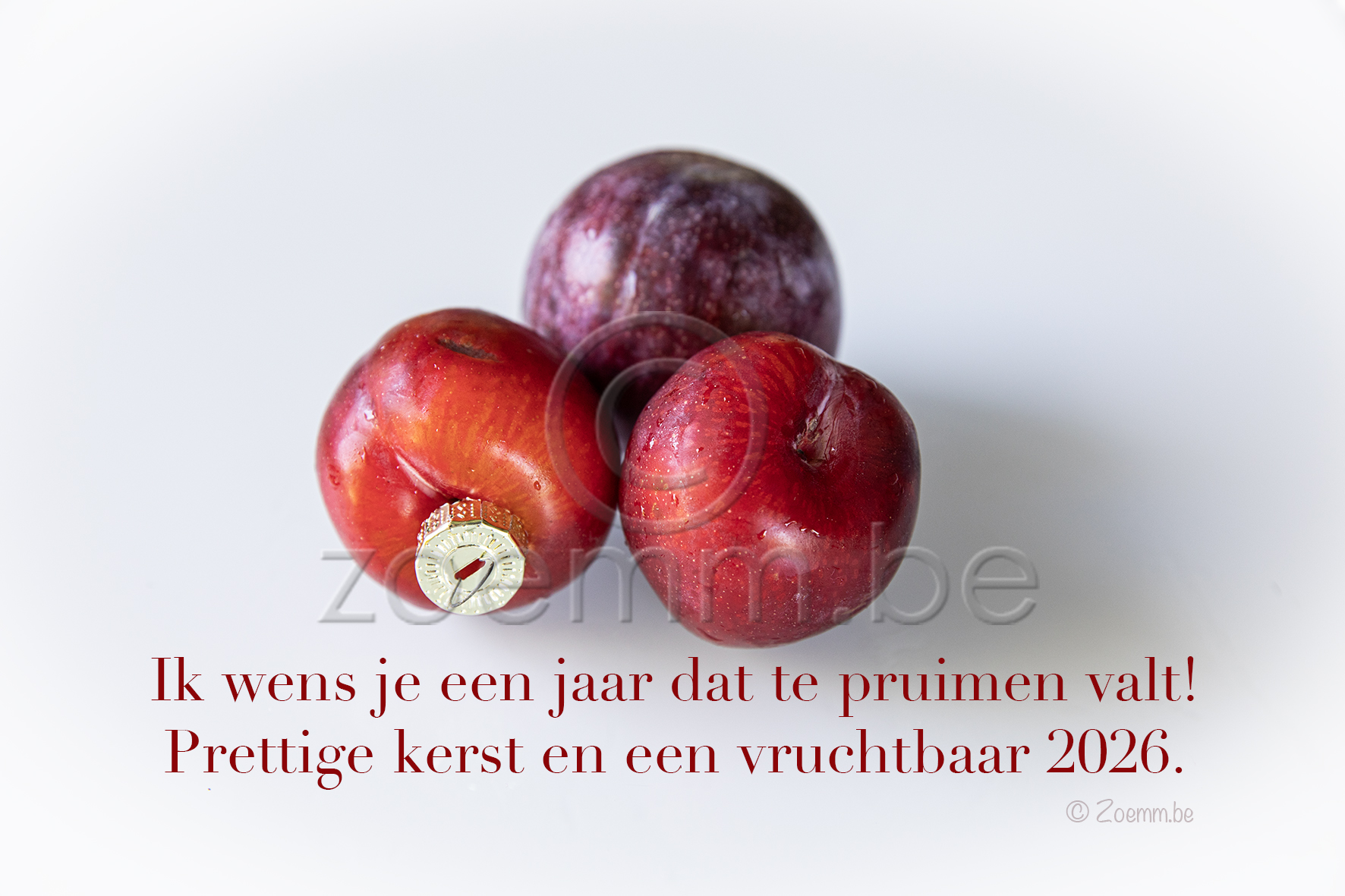 G&F pruimen 1
