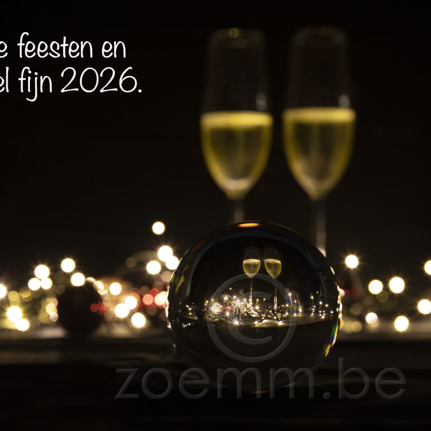Z Bubbel 1