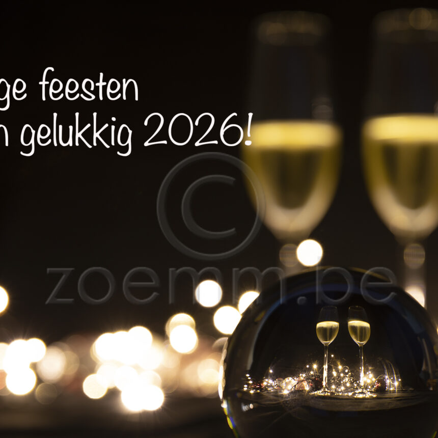 Z Bubbel 2