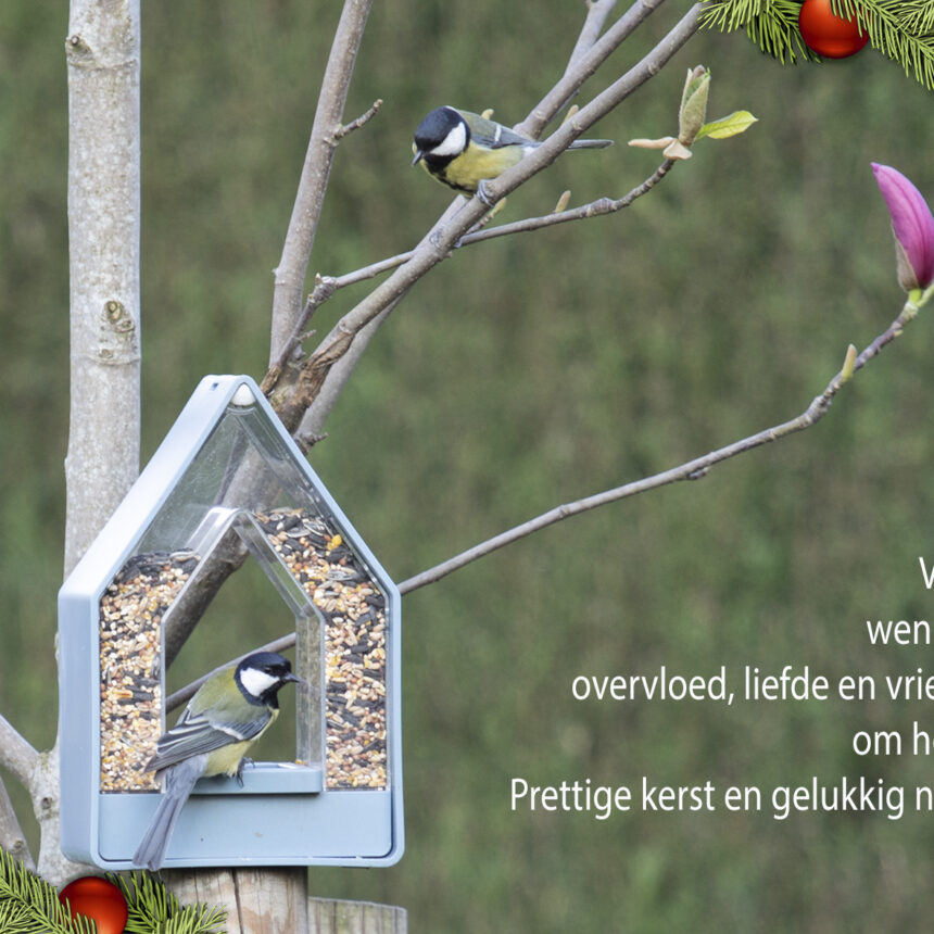 Natuur Mees