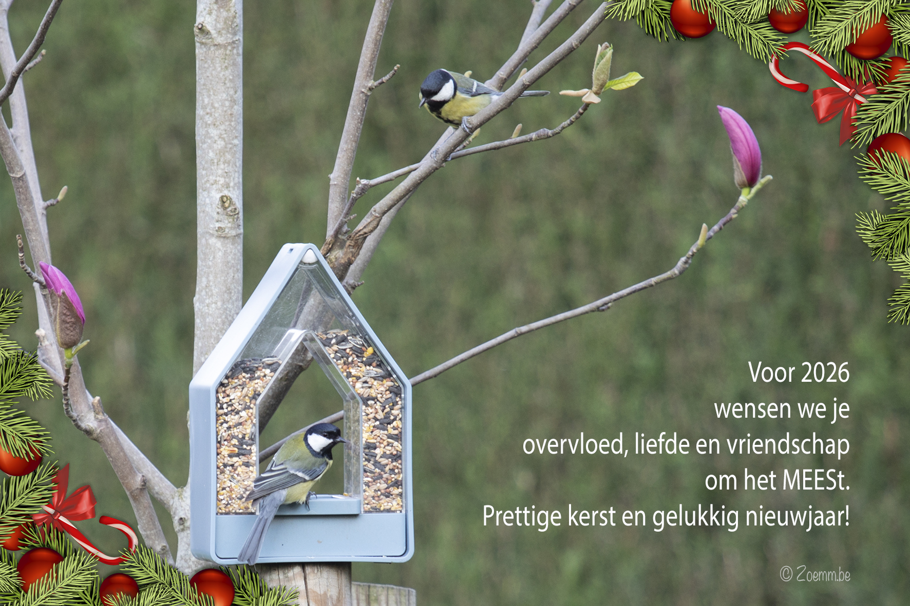 Natuur Mees