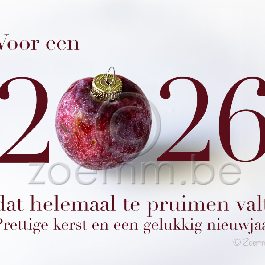 G&F Pruimen 2